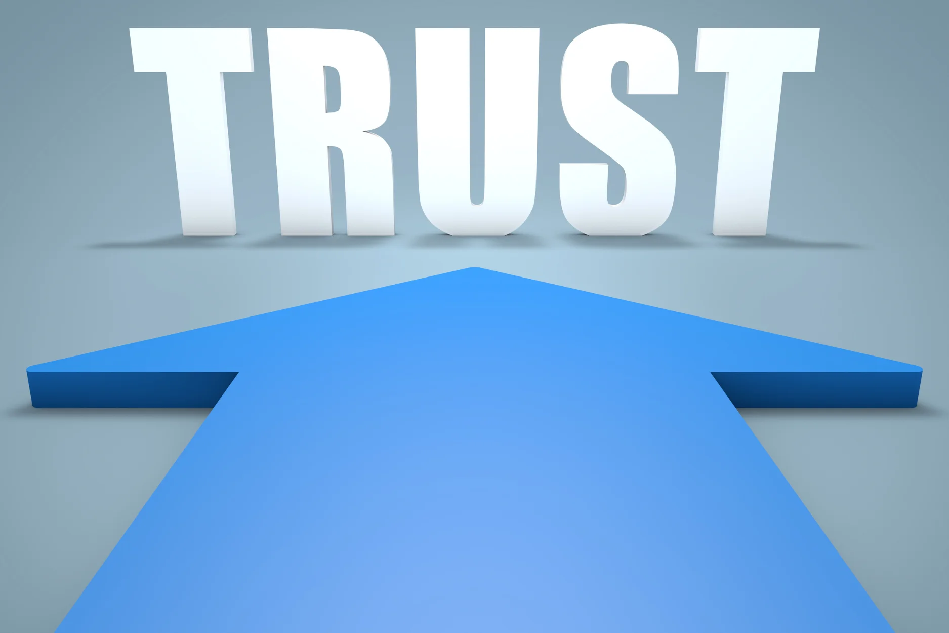 Trust Us programme management